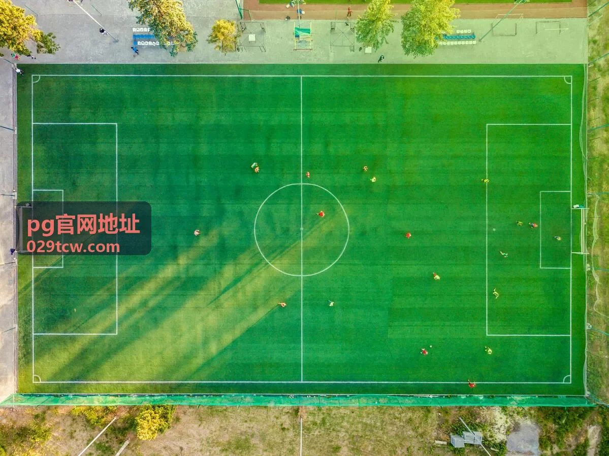 pg官网地址入口辨别要点配图